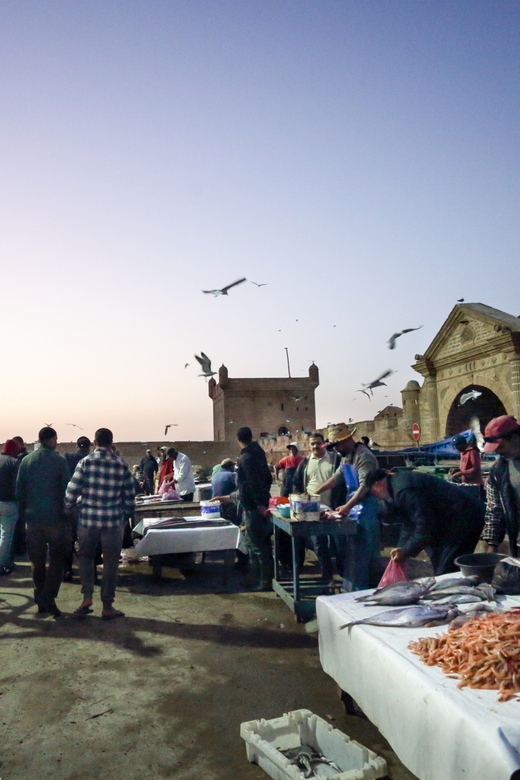 Explore Essaouira on a Day Trip From Marrakech - Good To Know