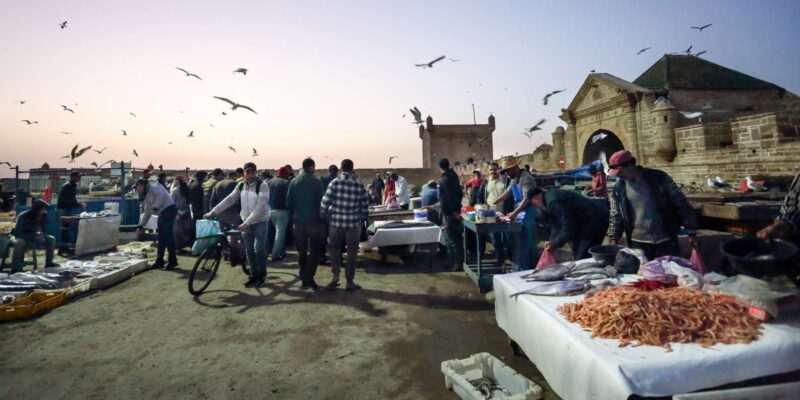Explore Essaouira on a Day Trip From Marrakech - Itinerary Highlights