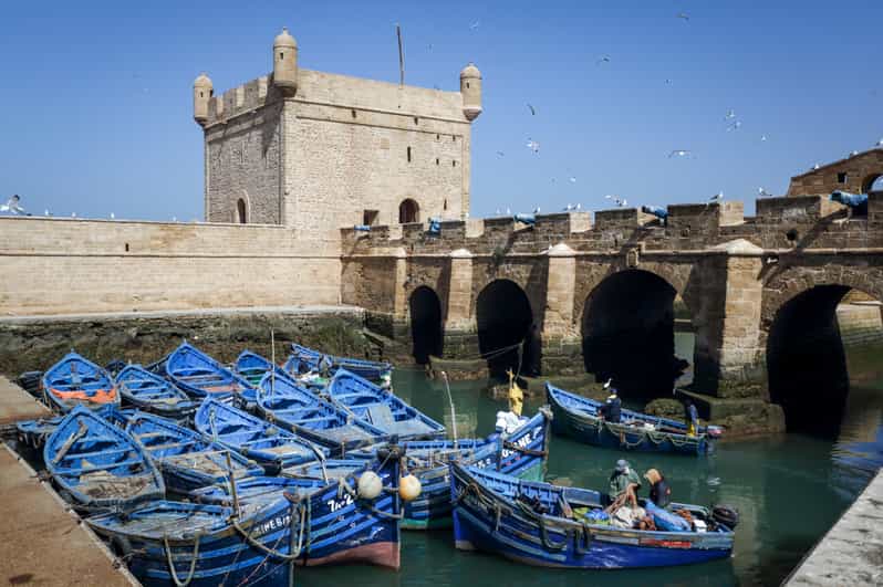 Explore Essaouira on a Day Trip From Marrakech - Transportation Details