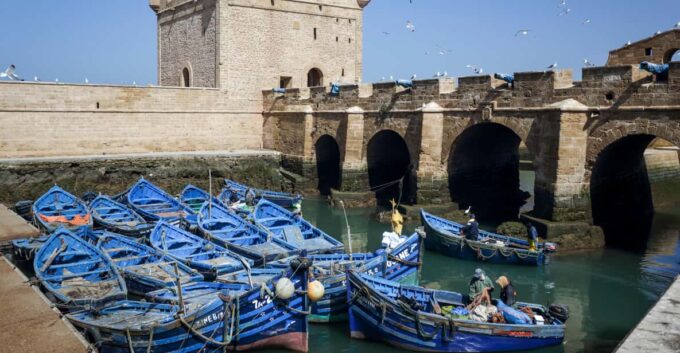 Explore Essaouira on a Day Trip From Marrakech - Experience and Activities