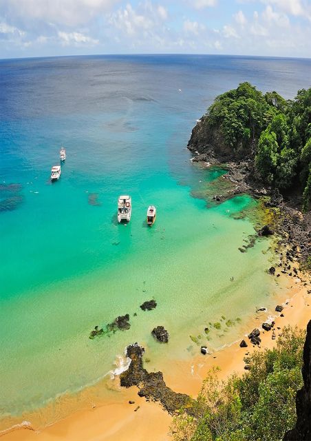 Explore Fernando De Noronha: 7-Hour Ilhatour - Key Points