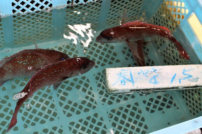 Explore Fishermen Island in Japan(Ise-Shima) - Transportation and Accessibility