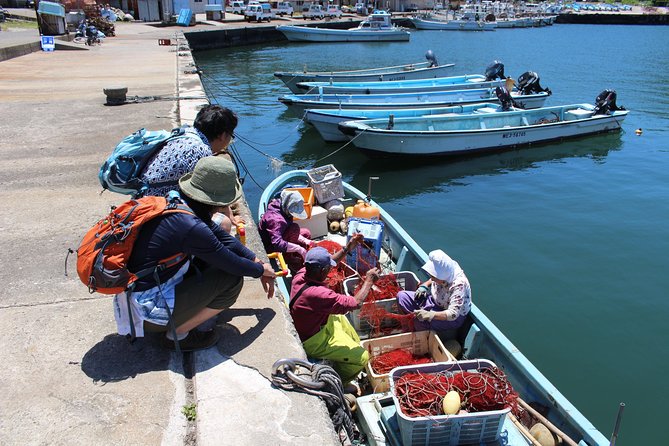 Explore Fishermen Island in Japan(Ise-Shima) - Guest Feedback and Ratings