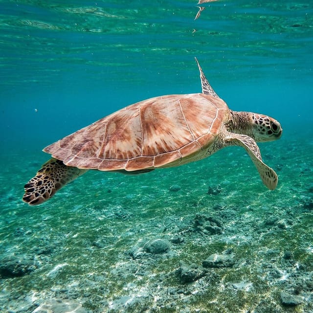 Explore Gili (Trawangan, Air & Meno) - Important Information: What to Bring
