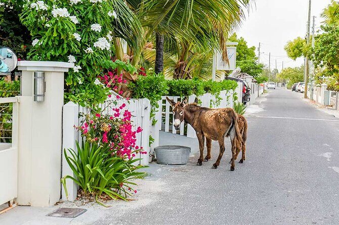 Explore Gorgeous Grand Turk: Self-Guided Audio Tour - Key Points
