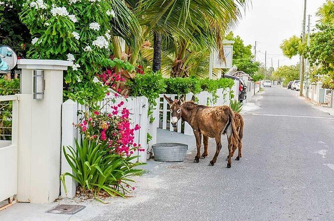Explore Gorgeous Grand Turk: Self-Guided Audio Tour - FAQ