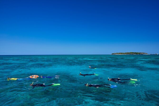 Explore Green Island with Diving options from Cairns - An In-Depth Look at the Green Island Tour