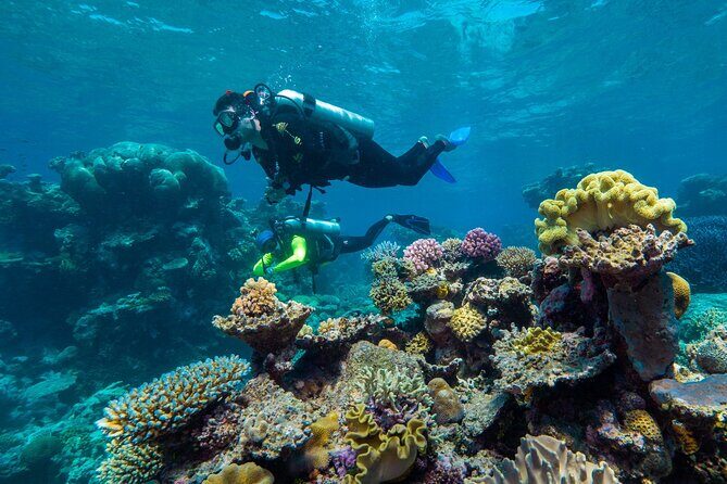 Explore Green Island with Diving options from Cairns - FAQ