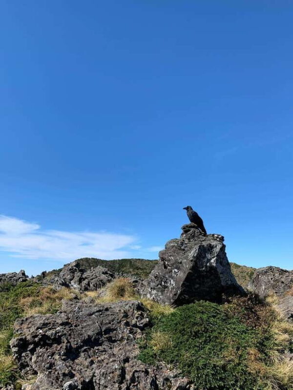 Explore Hallasan:Yeongsil Course Hiking Experience(Beginner) - The Experience Provider
