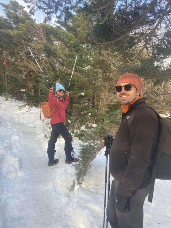Explore Hallasan:Yeongsil Course Hiking Experience(Beginner) - Why This Tour Offers Great Value