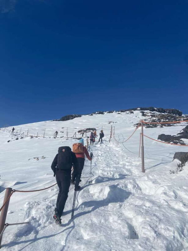 Explore Hallasan:Yeongsil Course Hiking Experience(Beginner) - Final Thoughts