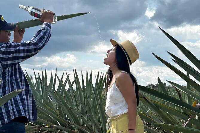 Explore Hierve el Agua, Mitla, Tule, Textile and Mezcal for a day - Who Will Love This Tour?