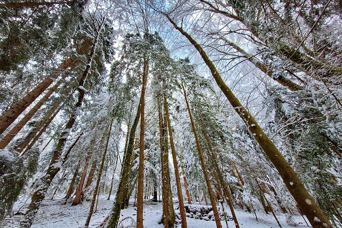 Explore Hitlers Mountain World War II Tour - The Sum Up