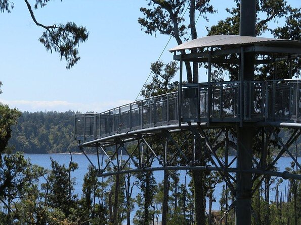 Explore Hokitika Gorge and Tree Top Walkway - Key Points