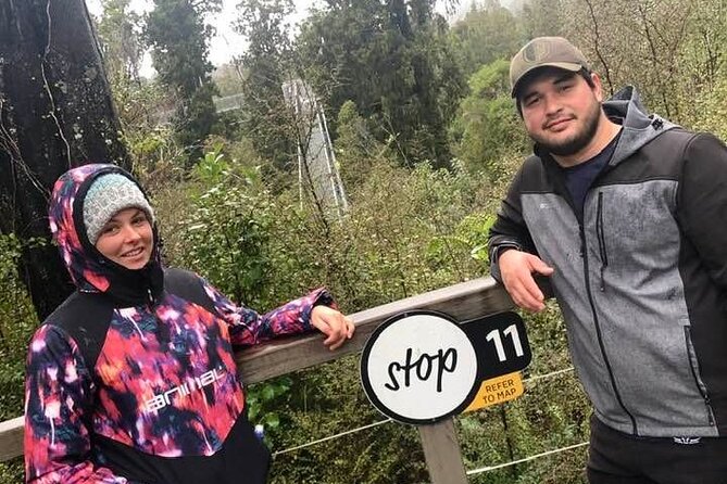 Explore Hokitika Gorge and Tree Top Walkway - Visiting Hokitika Gorge
