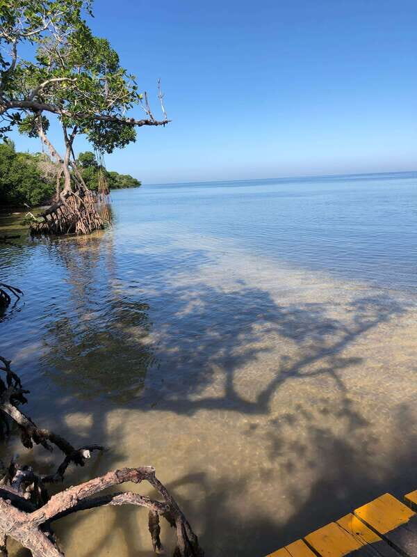 Explore Holbox Island VIP - 4 Points + Guacamole - Who Should Consider This Tour?