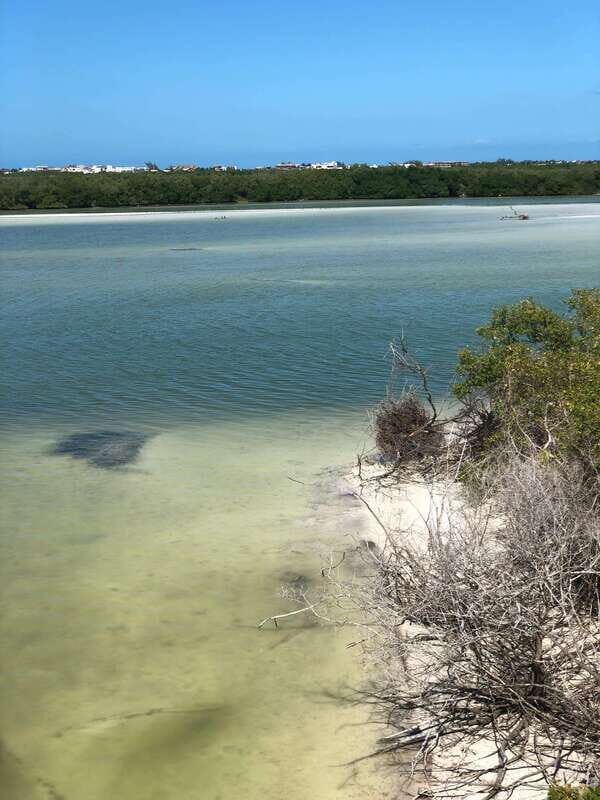 Explore Holbox Island VIP - 4 Points + Guacamole - The Sum Up: A Snapshot of Authentic Holbox