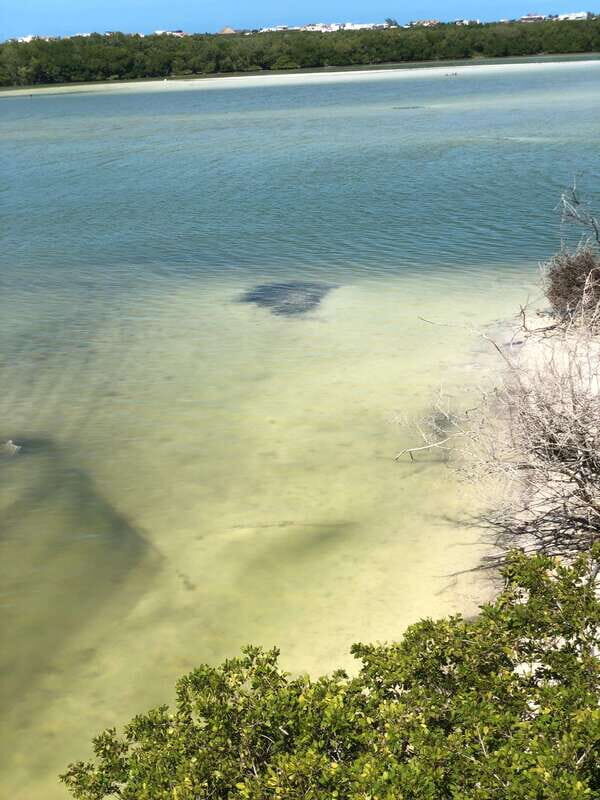 Explore Holbox Island VIP - 4 Points + Guacamole - Frequently Asked Questions