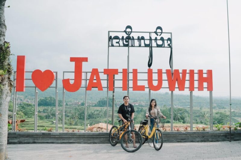 Explore Jatiluwih Rice Terrace Using Electric Bike - Safety and Insurance