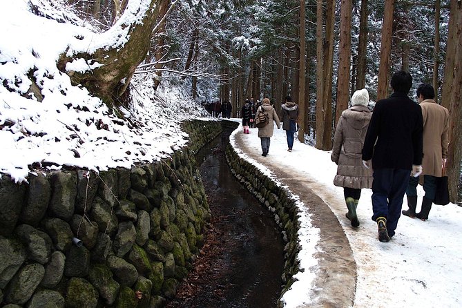 Explore Jigokudani Snow Monkey Park With a Knowledgeable Local Guide - Yudanaka Station Tourist Information Center