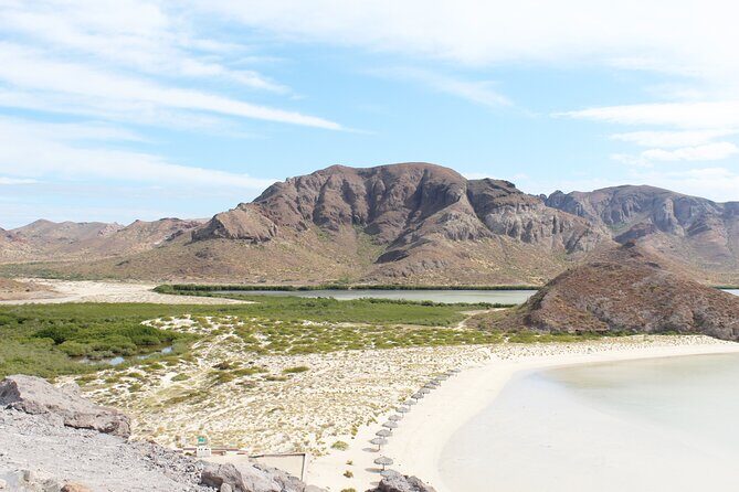 Explore La Paz and Paradise Beaches: Balandra and El Tecolote - Balandra Beach: A Natural Wonder