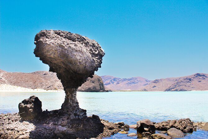 Explore La Paz and Paradise Beaches: Balandra and El Tecolote - Who Is This Tour Best For?