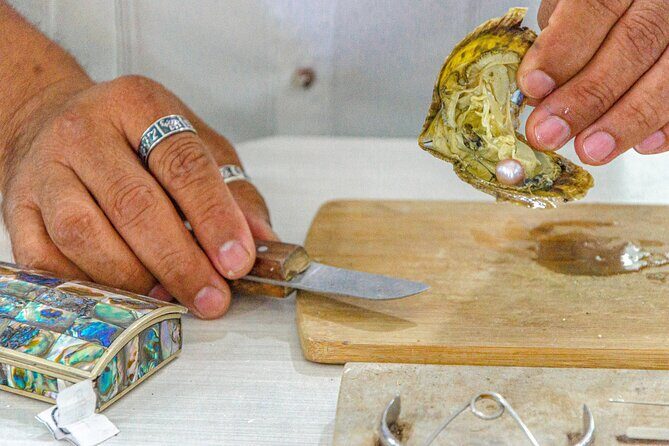 Explore La Paz: City Tour, Balandra Bay and Todos Santos - Who Will Love This Tour?