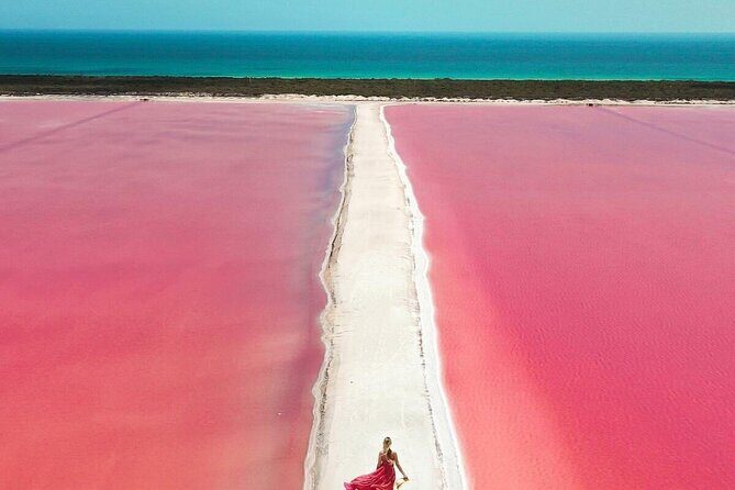 Explore Las Coloradas & Rio Lagartos from Riviera Maya - A Detailed Look at the Tour Experience