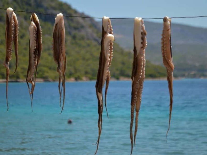 Explore Loutraki & Lake Vouliagmeni: Nature and Relaxation - A Practical Look at the Tour: What to Expect