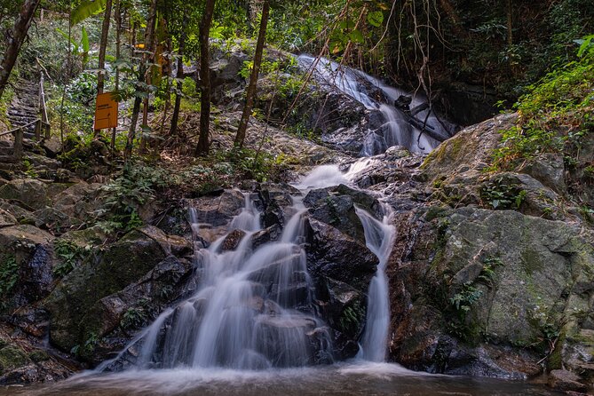 Explore Mae Kampong Village From Chiang Mai City - Tour Pricing and Inclusions