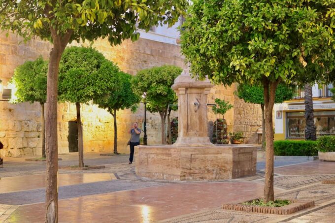 Explore Marbella Old Town: Private Guided Walking Tour - Ending Location