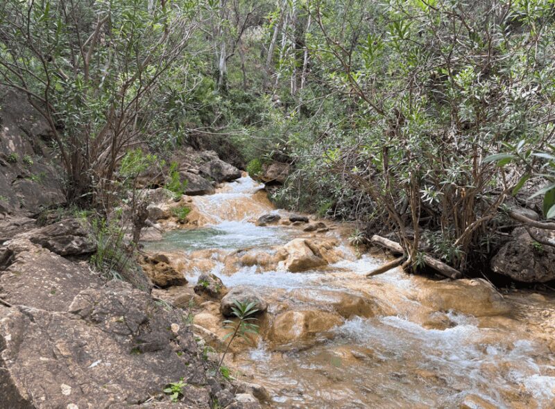 Explore Marbella's Nature: Guided Hiking And Foraging Trip - Discover Marbella’s Natural Charm