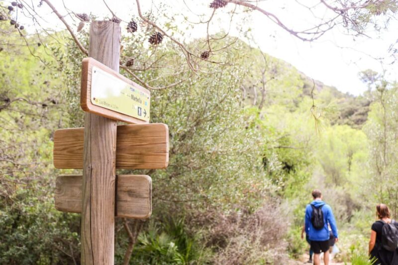 Explore Marbella's Nature: Guided Hiking And Foraging Trip - The Sum Up