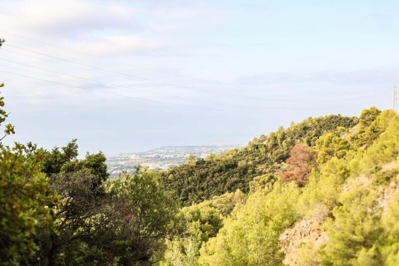 Explore Marbella's Nature: Guided Hiking And Foraging Trip - FAQs