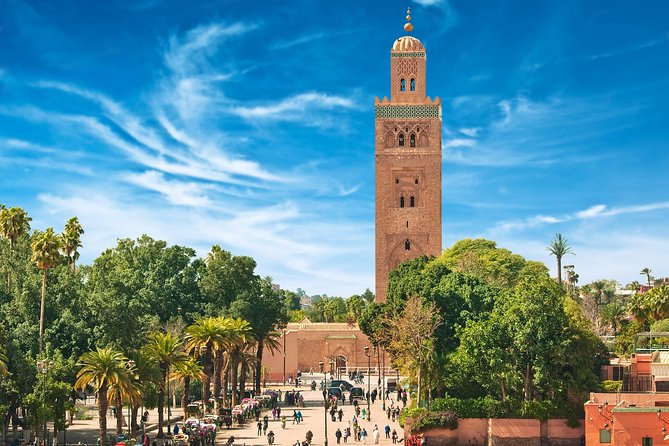 Explore Marrakech Medina: Private Tour Including Bahia Palace Visit - Customer Feedback and Ratings