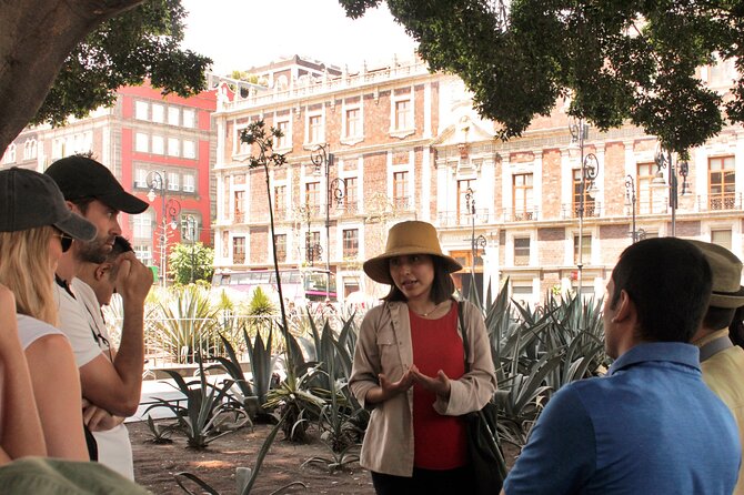 Explore Mexico City: A Journey Through History, Art, and Cuisine! - Group Size and Pricing