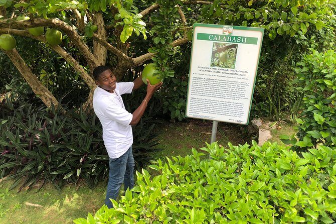 Explore Montego Bay Jamaica Private Tour to Green Gratto Cave - FAQs