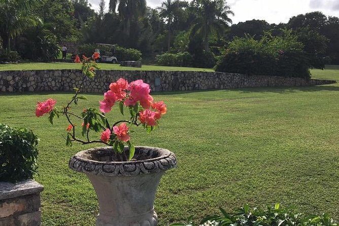 Explore Montego Bay Jamaica Rose Hall Great House Day/Night Tour - Who Should Consider This Tour?