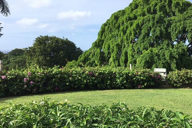 Explore Montego Bay Jamaica Rose Hall Great House Day/Night Tour - Inclusions