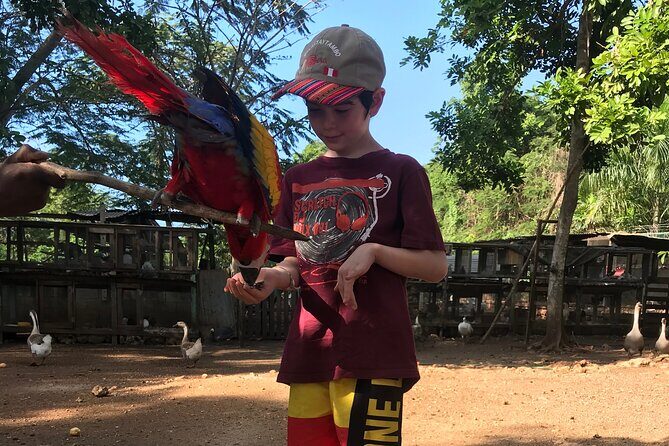 Explore Montego Bay to Exotic Birds and Herb Farm from MontegoBay - The Experience of the Herb Farm and Bird Interaction