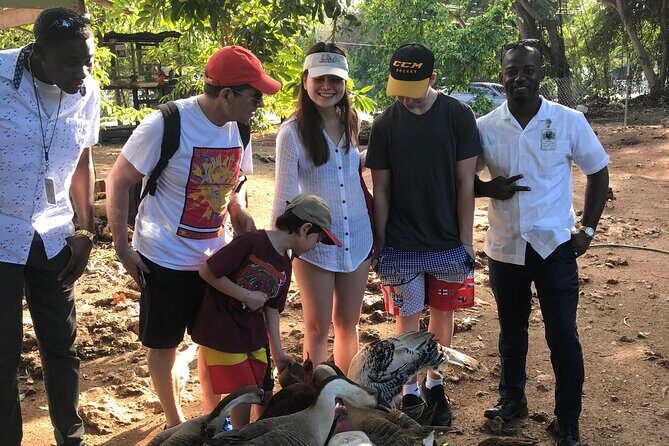 Explore Montego Bay to Exotic Birds and Herb Farm from MontegoBay - Value and Price Analysis