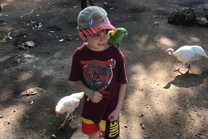 Explore Montego Bay to Exotic Birds and Herb Farm from MontegoBay - Authenticity and Reviews