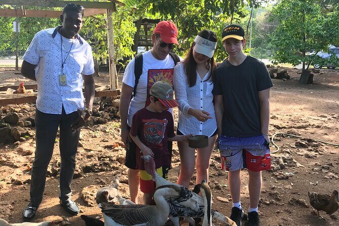 Explore Montego Bay to Exotic Birds and Herb Farm from MontegoBay - The Sum Up