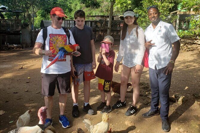 Explore Montego Bay to Exotic Birds and Herb Farm from MontegoBay - FAQ