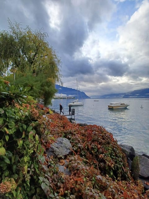 Explore Montreux in 90 Mins: From Lord Byron to Queen - Delving Into Montreuxs Cultural Riches