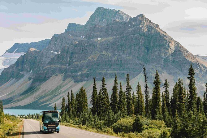 Explore Moraine and Louise Roundtrip from Banff Shared Bus Tour - The Itinerary in Detail