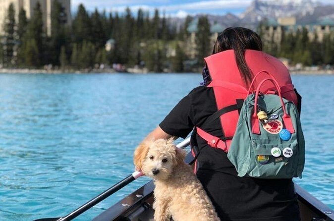 Explore Moraine Lake & Lake Louise  Round Trip Shuttle - Who Is This Tour Best For?