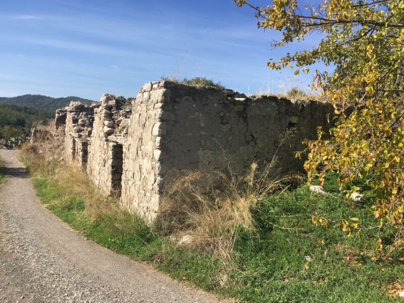 Explore More in Rhodes North Route - Lunch Experience
