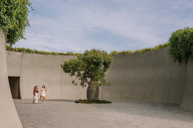 Explore Mornington Wildlife Wine and Hot Springs - Who Will Love This Tour?