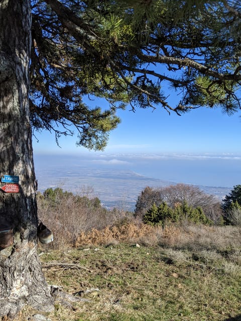 Explore Mount Olympus & Dion: History & Nature Day Trip - Key Points